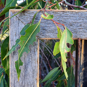 Popular rustic grey fence paling look recycled timber outline for all combinations of picture frames at WombatFrames